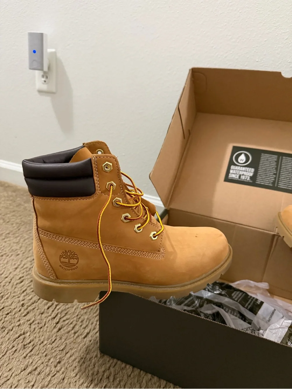 Timberland linden woods